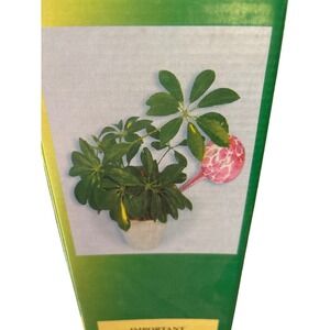 The Plant Bulb Self Watering Glass Globe Device Supplemental Watering Plants (3)